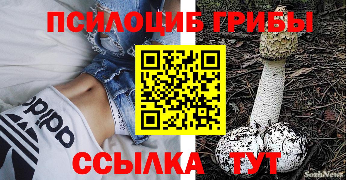 Псилоцибиновые грибы GOLDEN TEACHER Смоленск