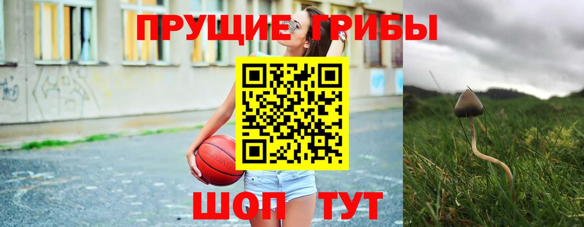 Смоленск  Псилоцибиновые грибы Psilocybe  Вход с VPN 